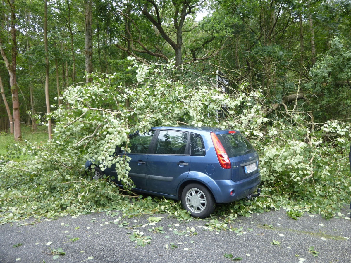 POL-NOM: Baum stürzte auf PKW