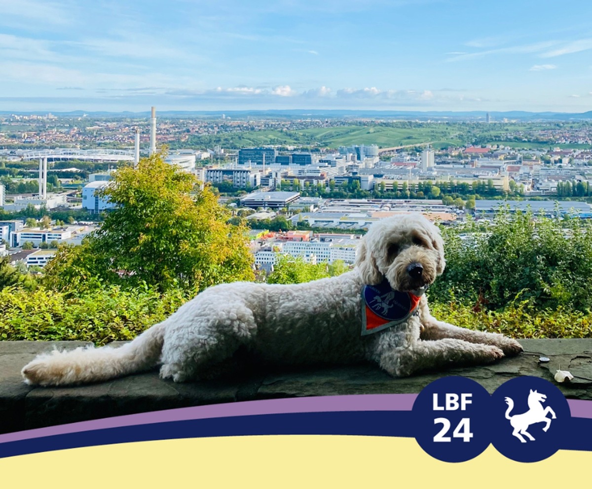 Barrierefreiheit großgeschrieben: Der SWR beim Louis Braille Festival in Stuttgart (3. bis 5. Mai 2024)