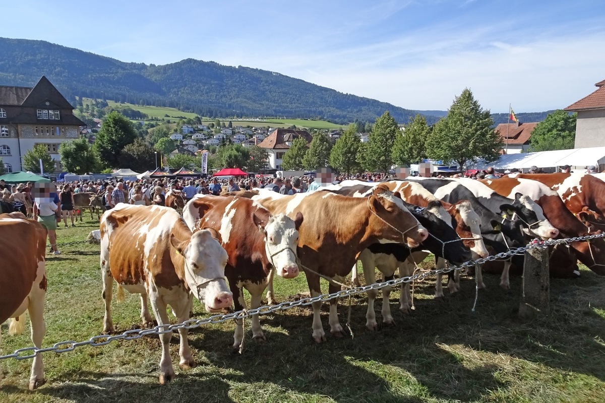 Communiqué de presse: Expositions d’animaux - nécessité d’amélioration importante selon la Protection Suisse des Animaux PSA