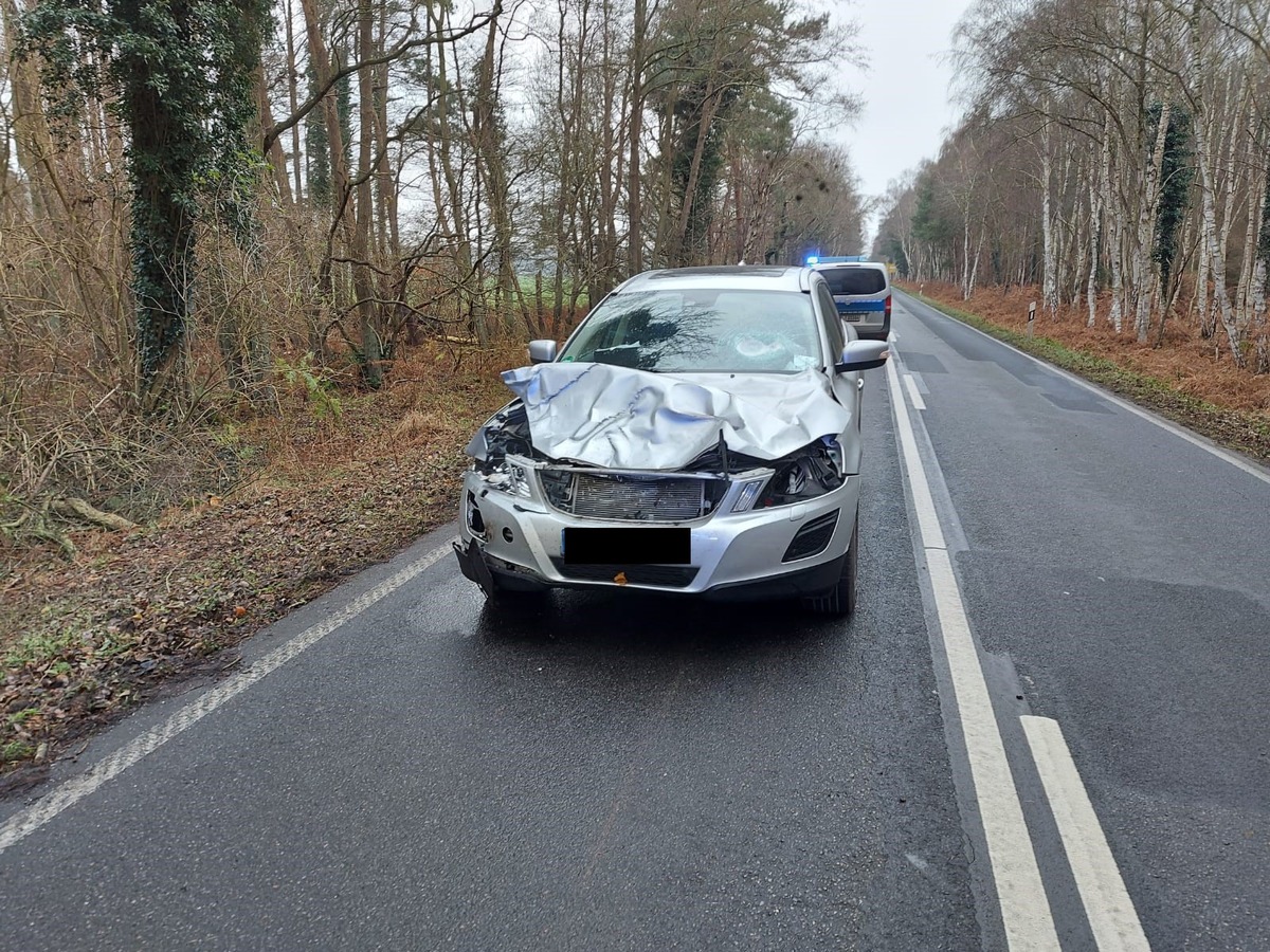 POL-NB: Verkehrsunfall mit Rothirsch verursacht Totalschaden