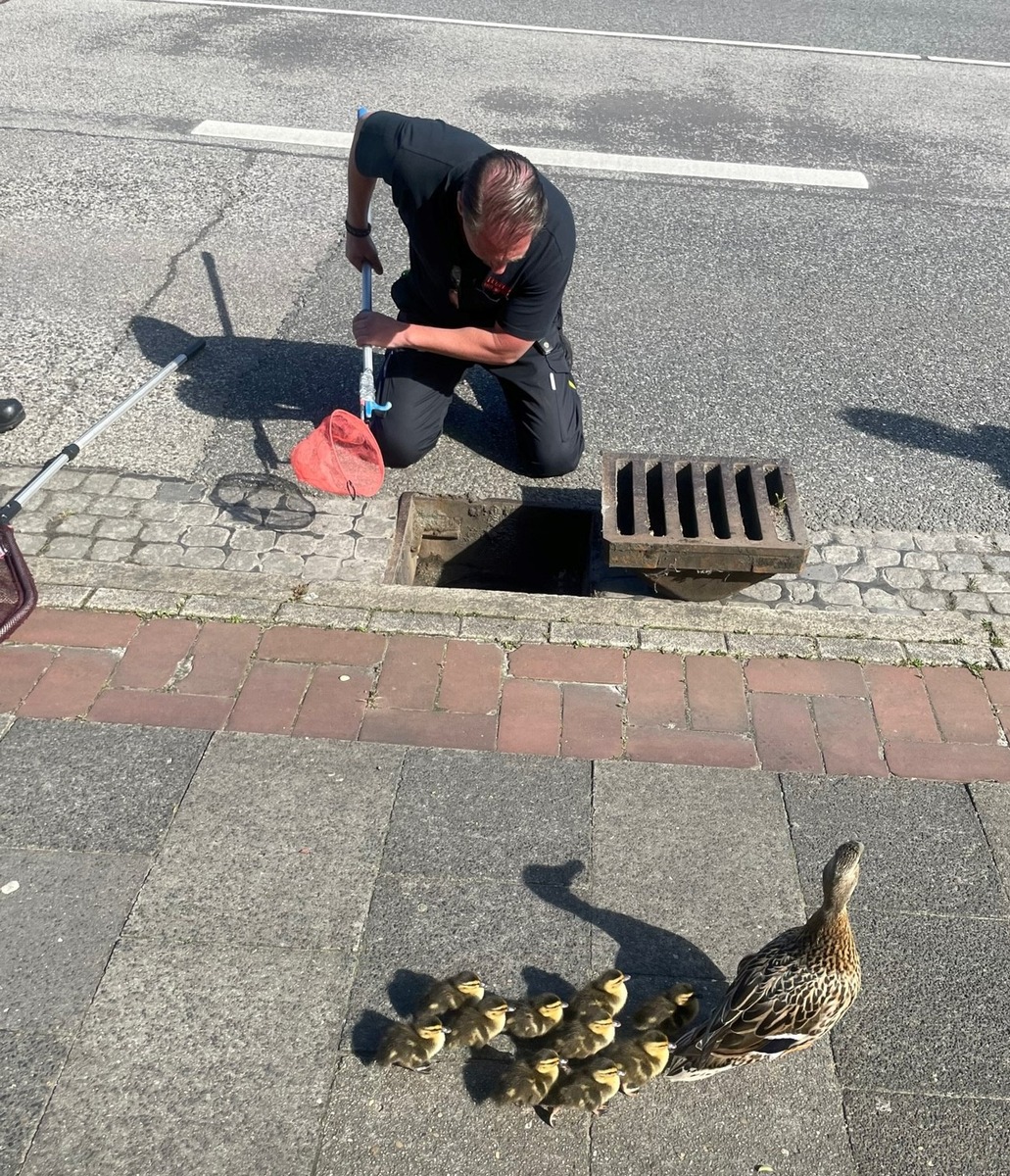 FW Bremerhaven: Feuerwehr rettet Osterküken