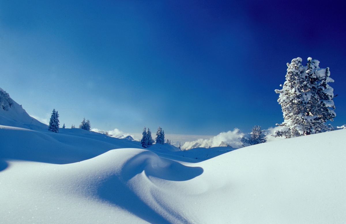 Alpenstadt Bludenz: Berge.hören im Schnee  - BILD