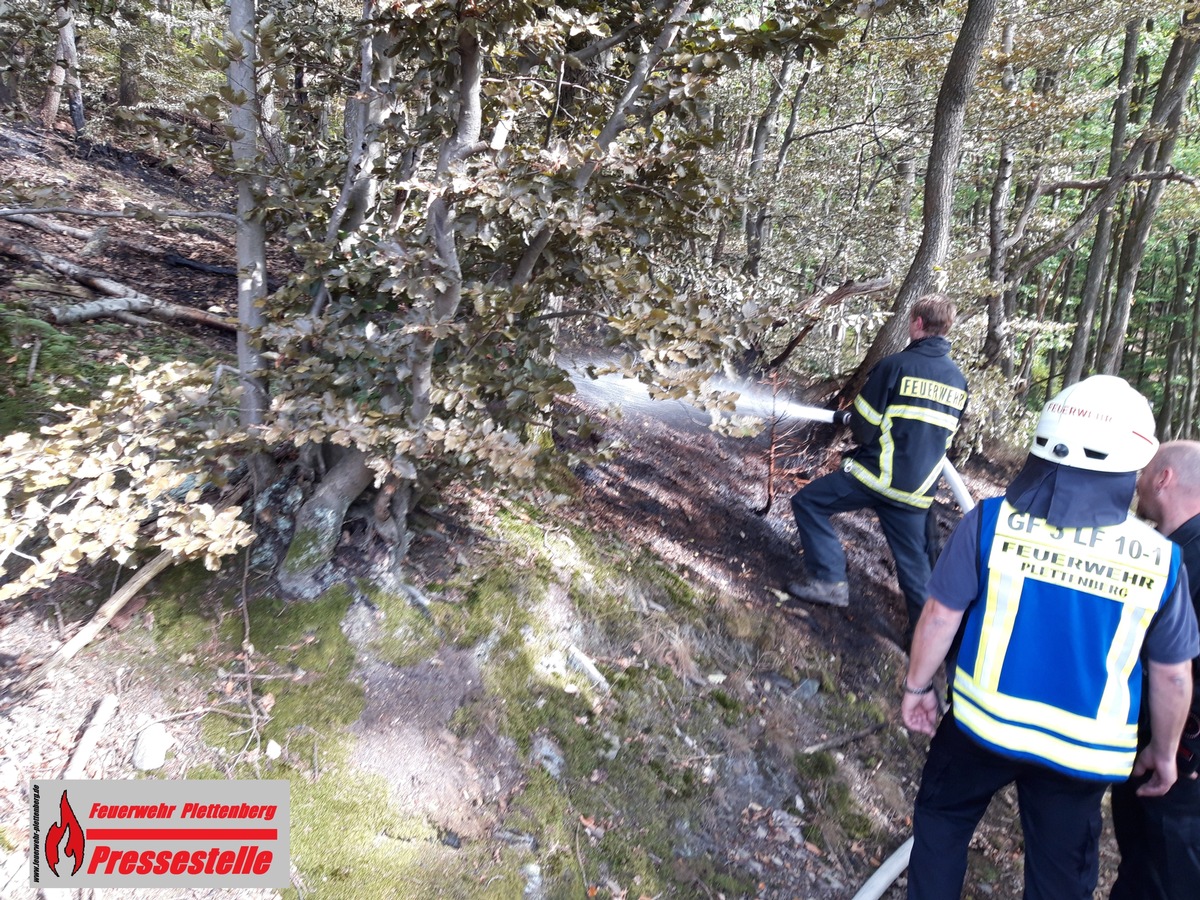 FW-PL: OT-Eiringhausen. Kleiner Brand auf abgebrannter Waldfläche schnell gelöscht.