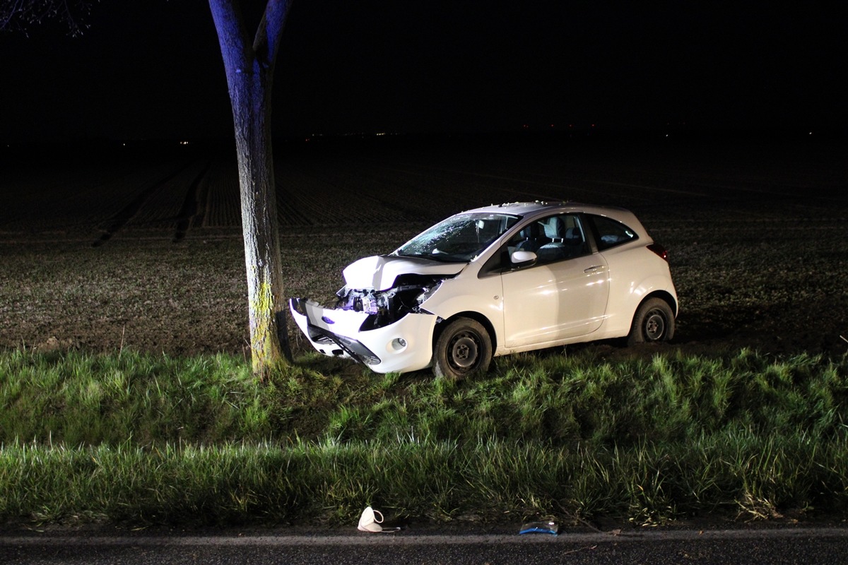 POL-DN: Pkw prallt gegen Baum