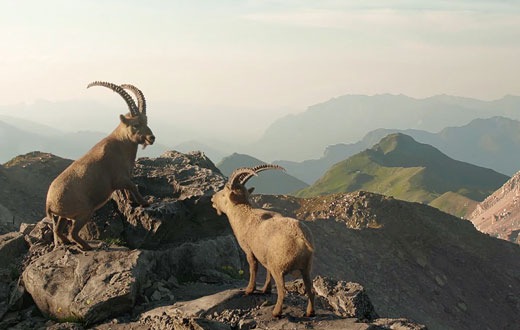 Die Schweiz ist ferienreif, Graubünden ist bereit