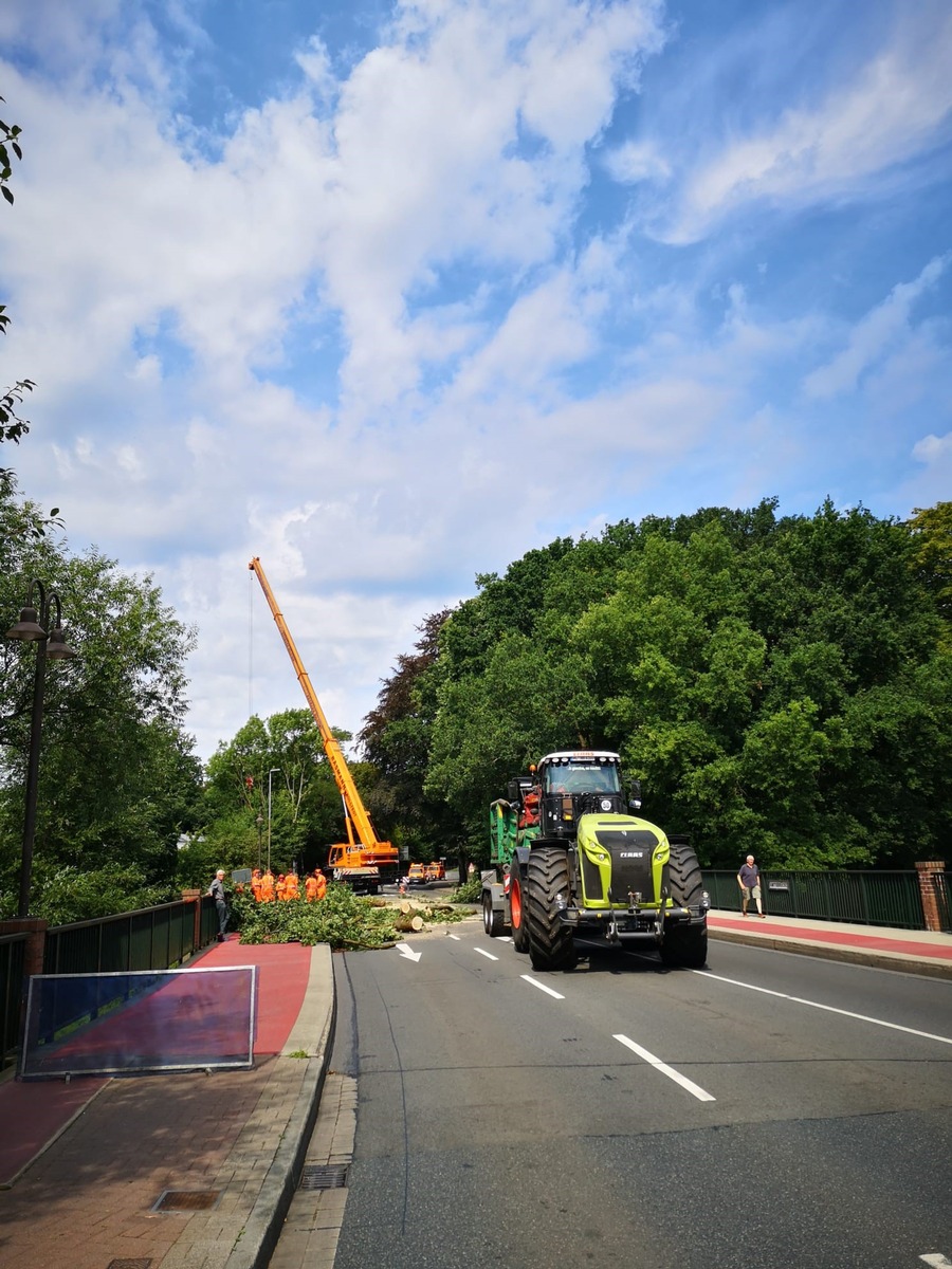 POL-ROW: Umgestürzte Eiche sorgt für Sperrung der Amtsbrücke