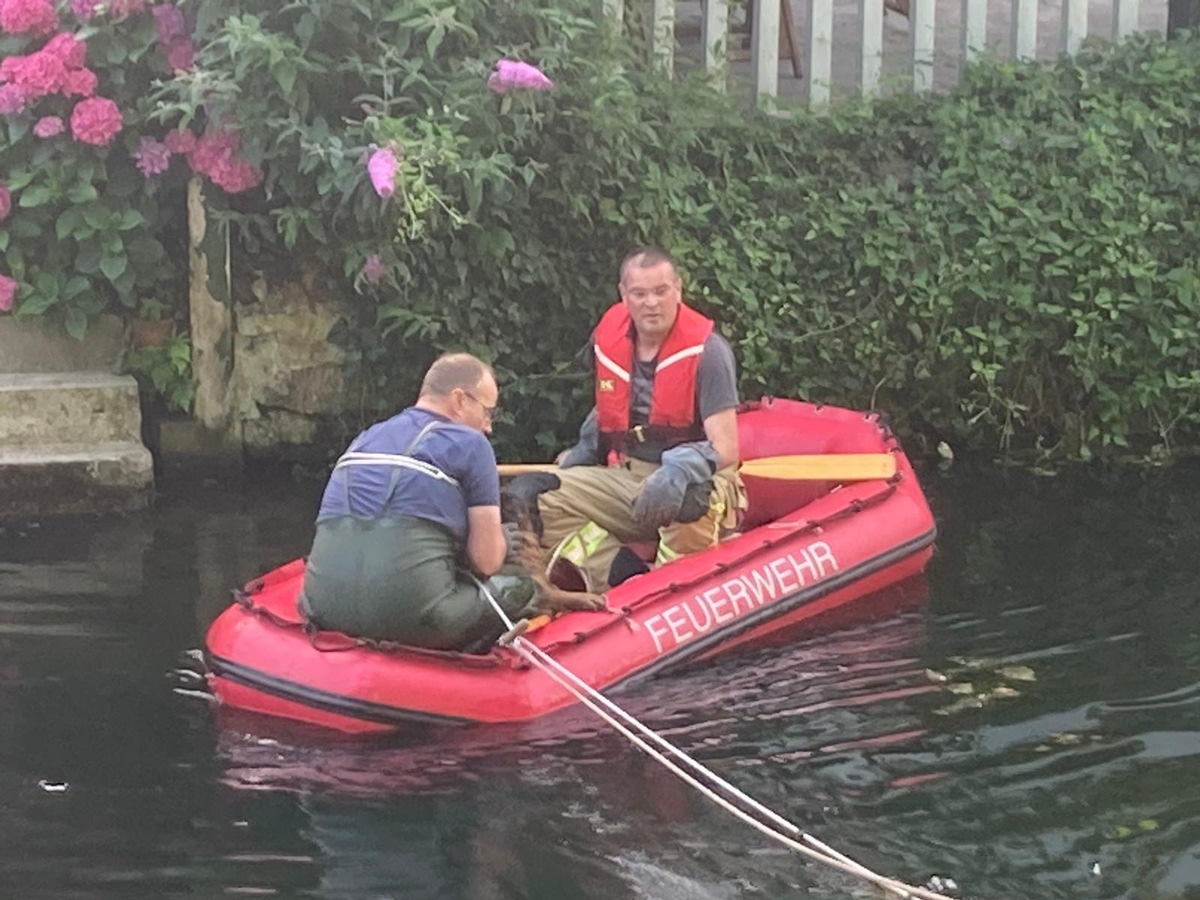 FW-KLE: Hund aus dem Kermisdahl gerettet