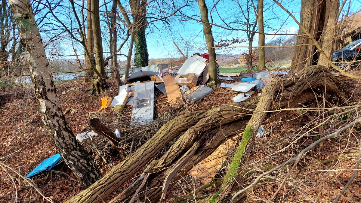 POL-HOL: Unzulässige Müllablagerung im Bereich der Landesstraße 550 - Verursacher ermittelt