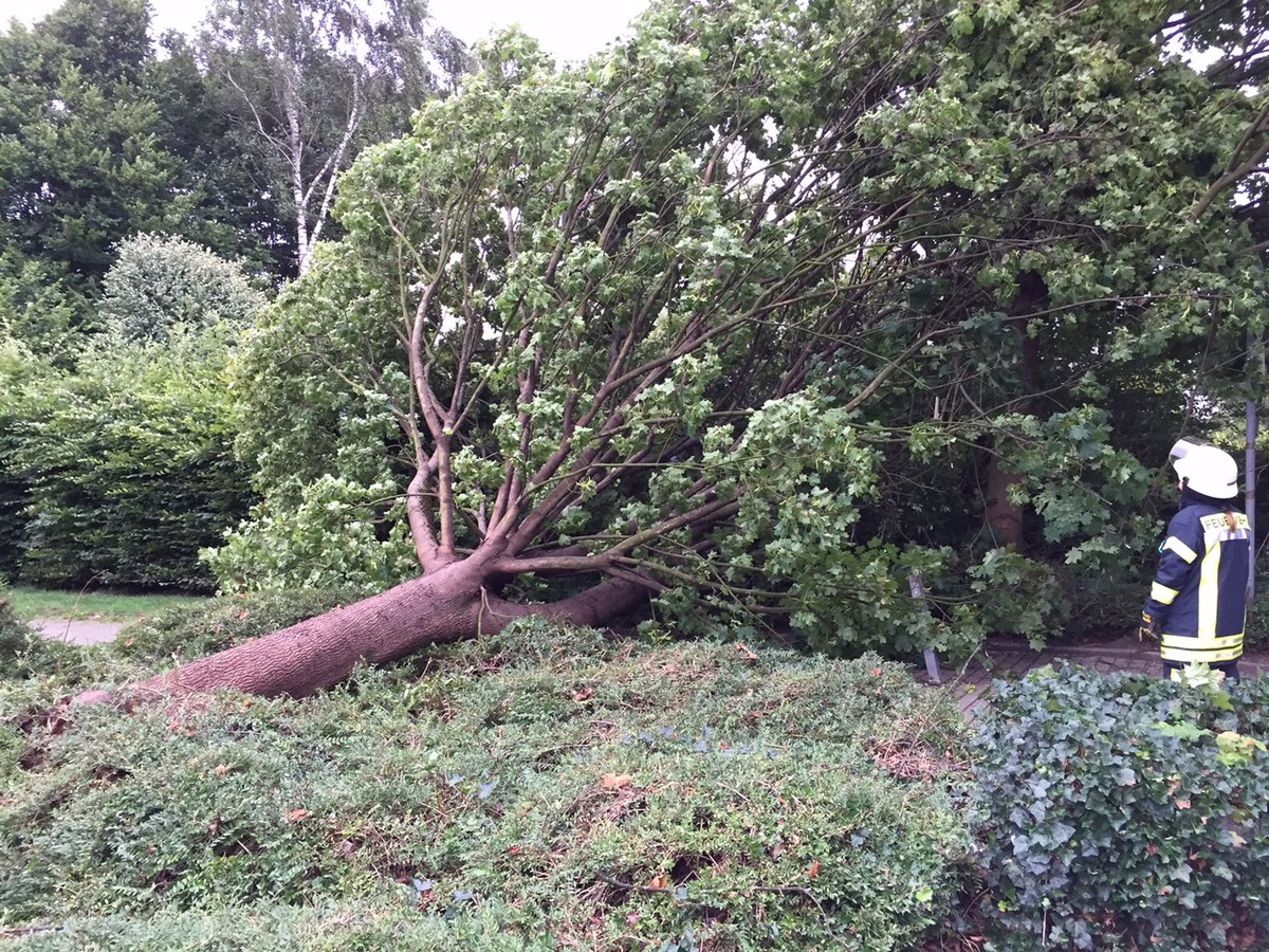 FW-HAAN: Sieben Einsätze durch Sturm