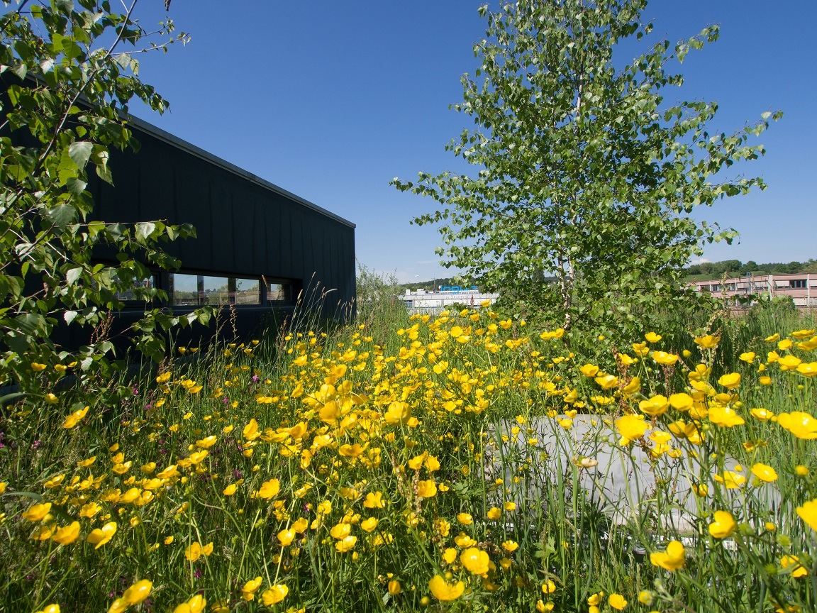 Jetzt noch anmelden: Konferenz &quot;European Green Premises&quot;