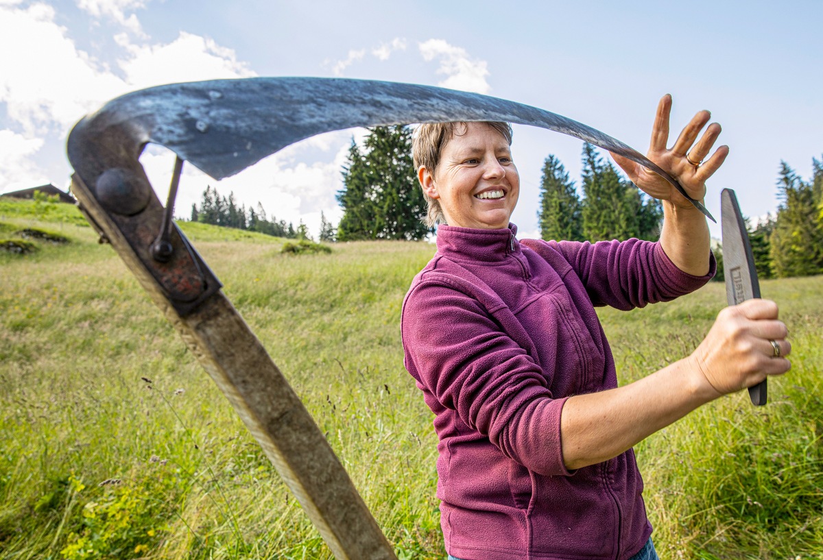 Caritas Suisse cherche 1&#039;400 bénévoles pour épauler les paysans de montagne pendant la pandémie