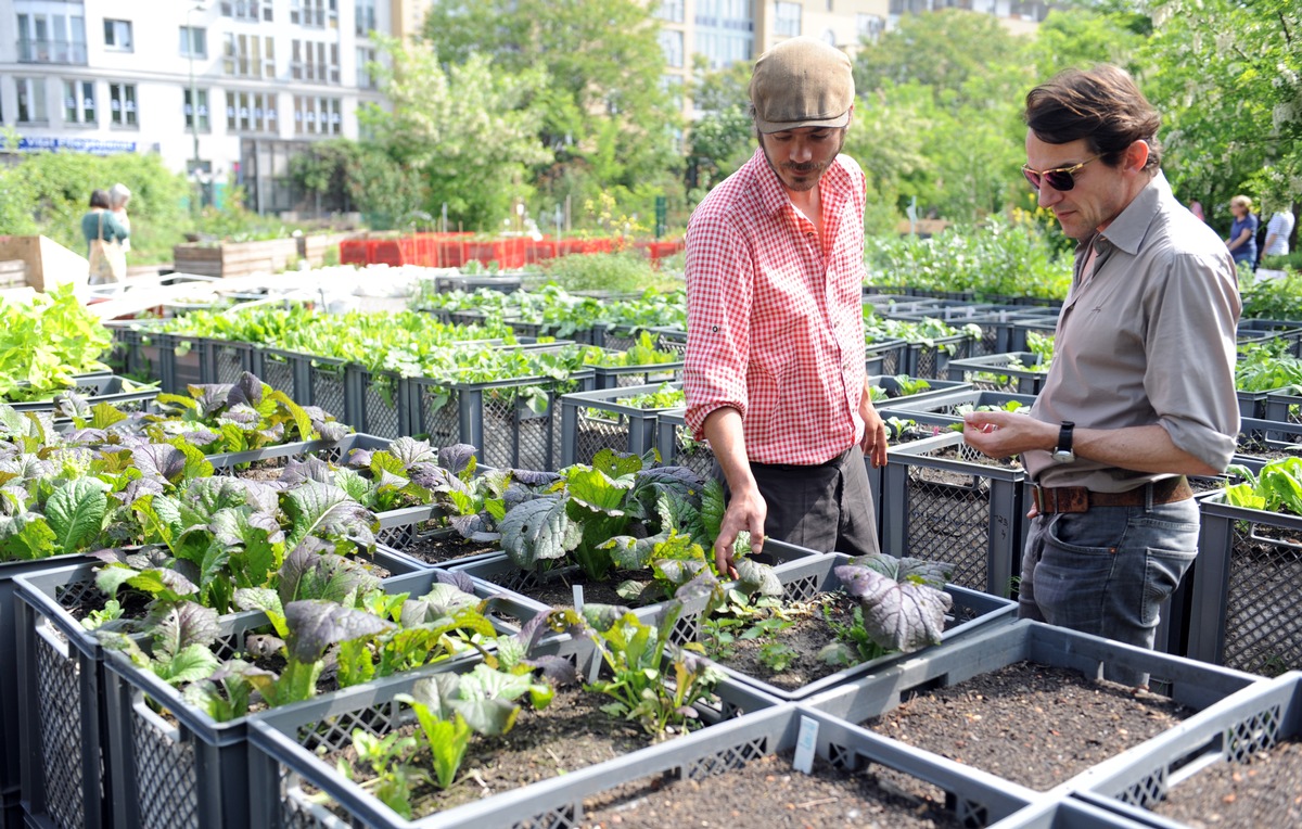 Landwirtschaft inmitten der Großstadt / Schauspieler Hans-Werner Meyer besucht Prinzessinnengarten in Berlin-Kreuzberg / Projekt für Karl Kübel Preis nominiert (mit Bild)