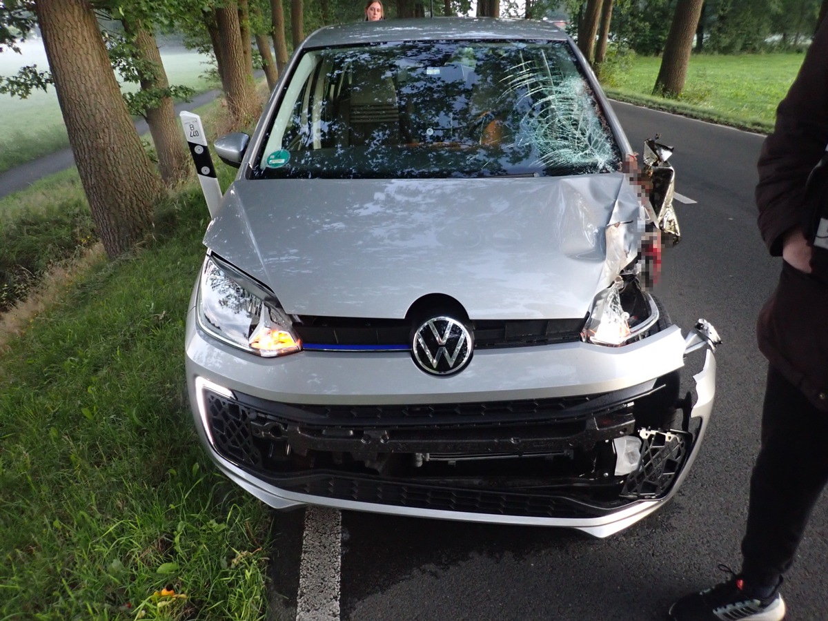 POL-ROW: ++ Entlaufene Pferde verenden nach Verkehrsunfall auf der B 440 ++