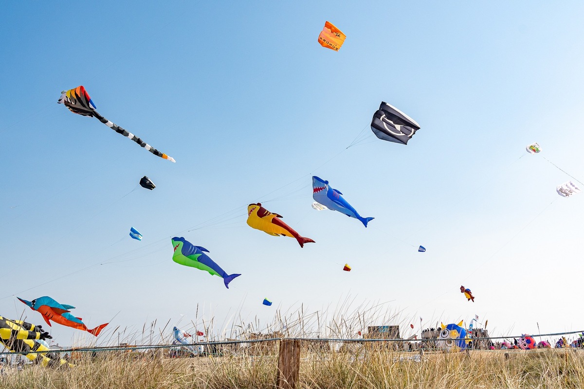 Frühlingserwachen in Büsum: Veranstaltungen im März und April 2025