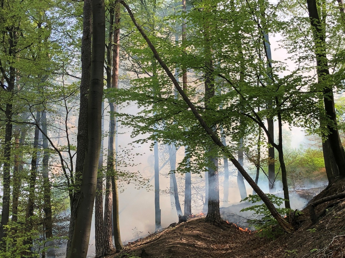 POL-PDKL: Wald brennt bei Martinshöhe