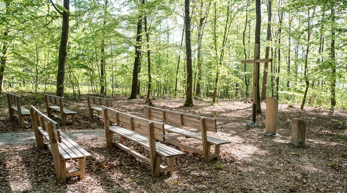 Ein Jahr FriedWald Hohenlohe