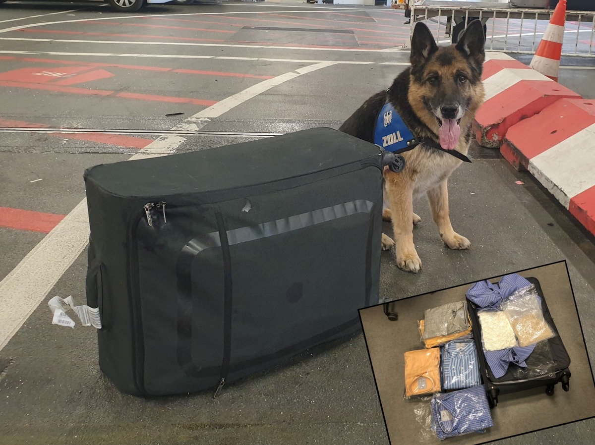 HZA-F: Hauptzollamt Frankfurt am Main stellt 12,4 Kilogramm Kokain sicher Rauschgiftspürhund &quot;Harro&quot; stellt seine gute Spürnase unter Beweis