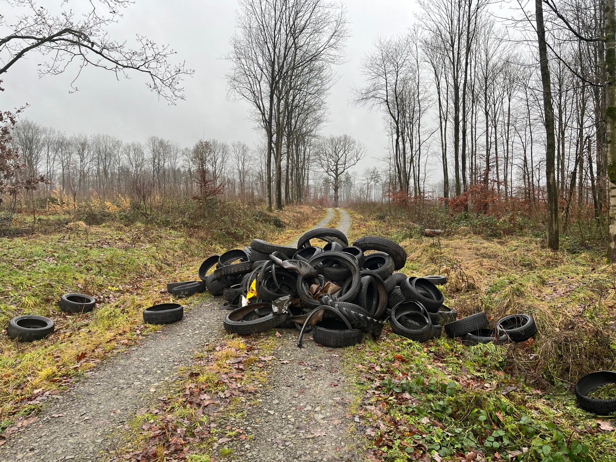 POL-HM: Altreifen in Natur entsorgt - Wer kann Hinweise geben?