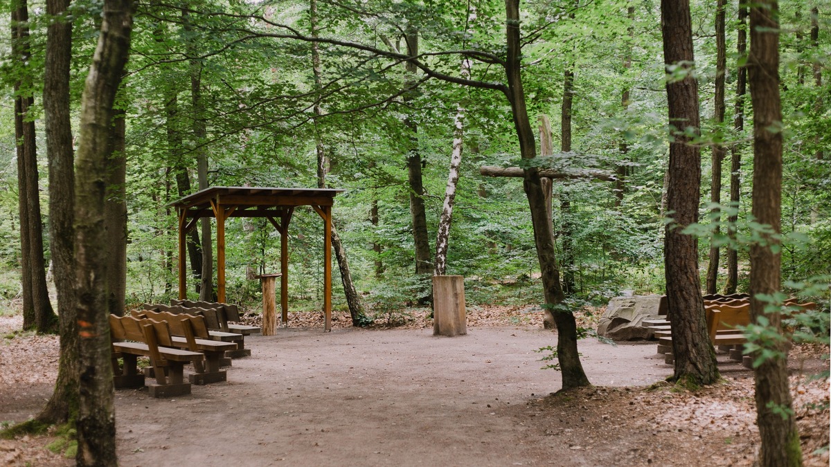 FriedWald Kirchheimbolanden wird zehn Jahre alt