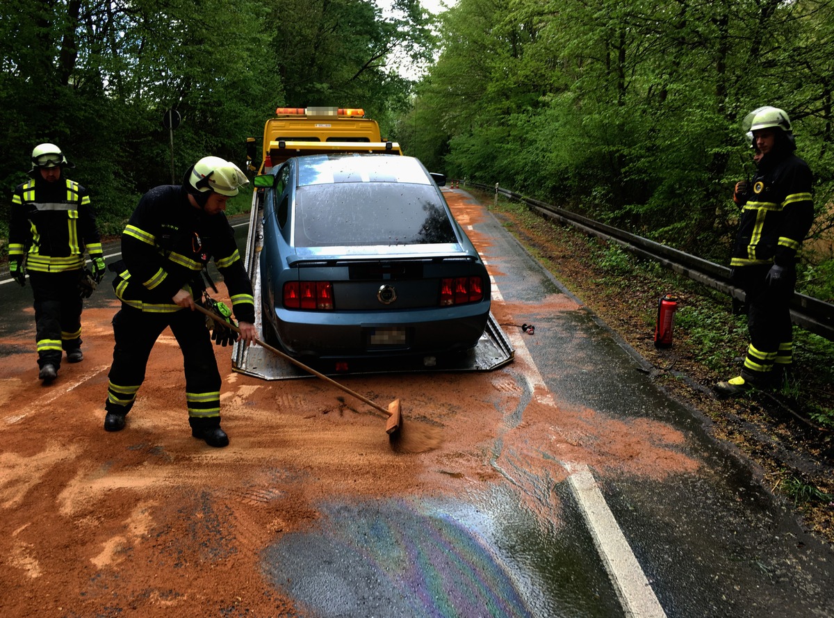 FW-EN: Mustang verlor auf Ender Talstraße die Kontrolle