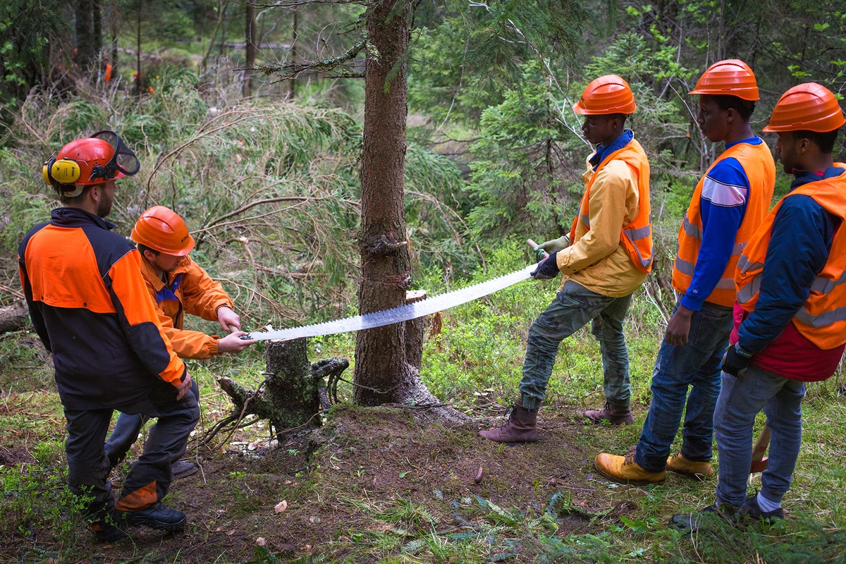 Fast 40 Freiwillige im Einsatz für die Natur - das Bergwaldprojekt am Feldberg