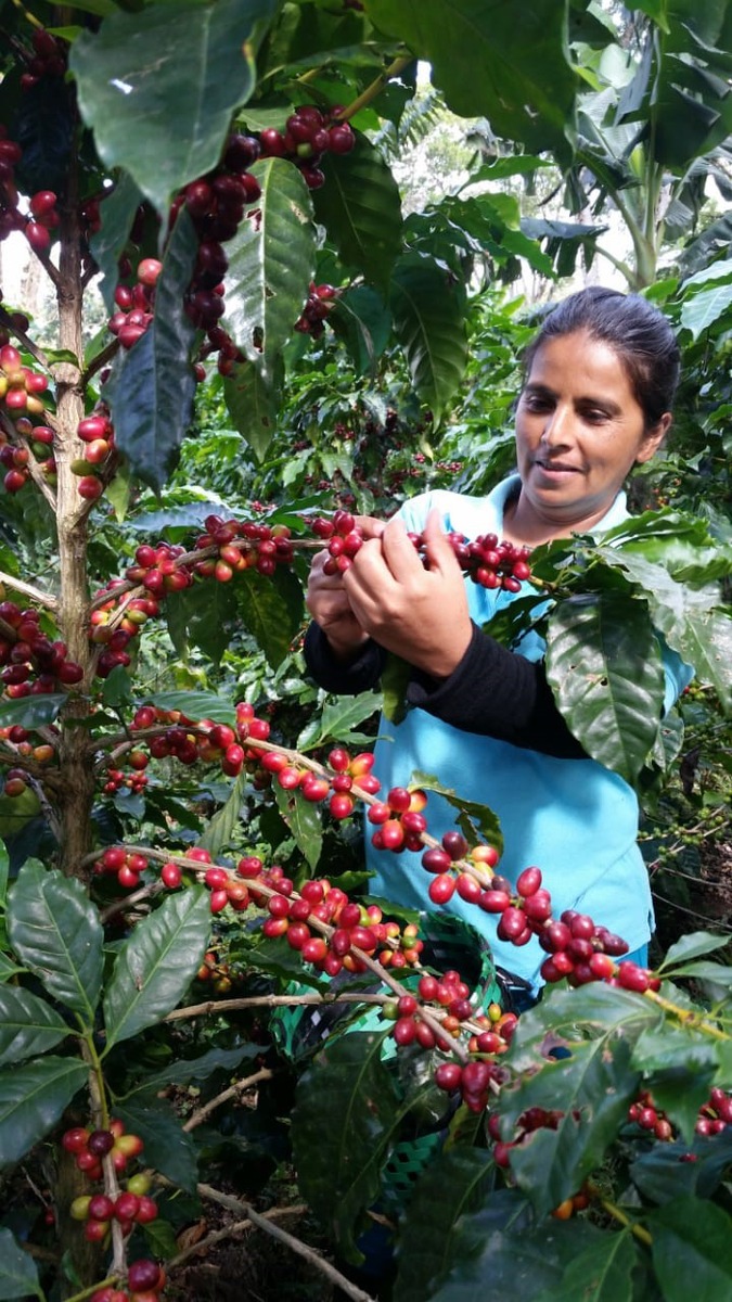 Solidarität in Zeiten von Corona / 45 Jahre GEPA / 2019 Umsatzsteigerung 9,5 Prozent / aktuelle Lage / #FairCoffeeNow / Bundesentwicklungsminister Gerd Müller würdigt Arbeit von GEPA und Weltläden