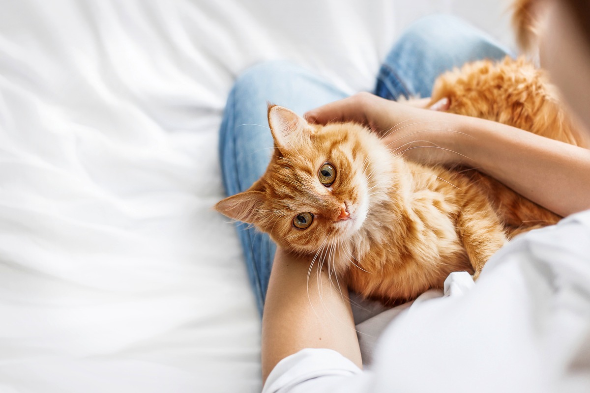 Hyposensibilisierung bei Tierallergie / Bringt das was? fragt die Apotheken Umschau. Die Antwort: Es fehlen Studien, aber es gibt erste Erfolge.