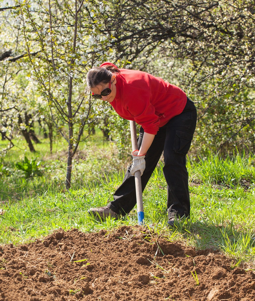 Endlich Frühling: Sicher in die Gartensaison starten (BILD)