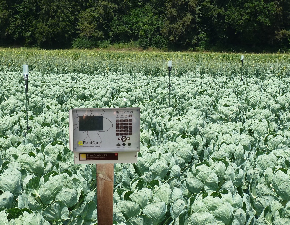 Breakthrough in agricultural irrigation: PlantCare&#039;s invention supports sustainable world food production (PICTURE)