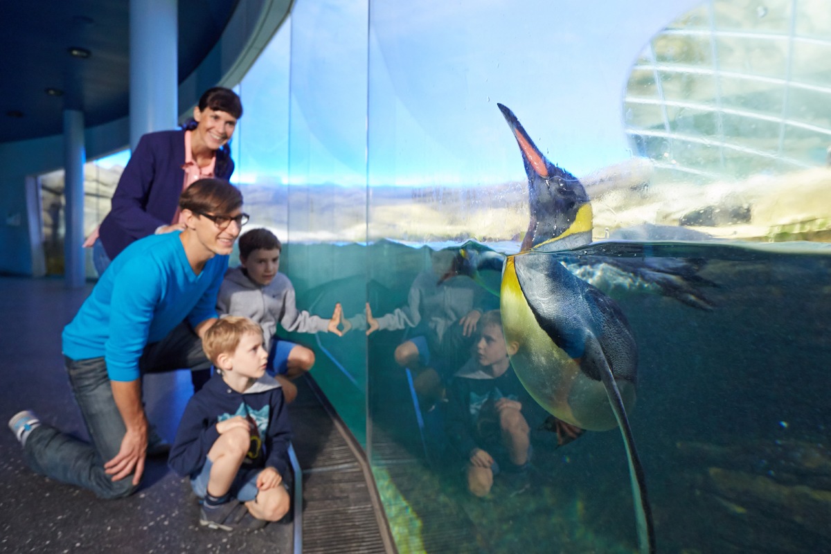 Einladung: Die Deutschen und ihre Zoos / Pressekonferenz und Stream