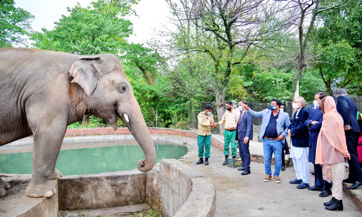 Präsident und First Lady von Pakistan verabschieden sich von Elefant Kaavan