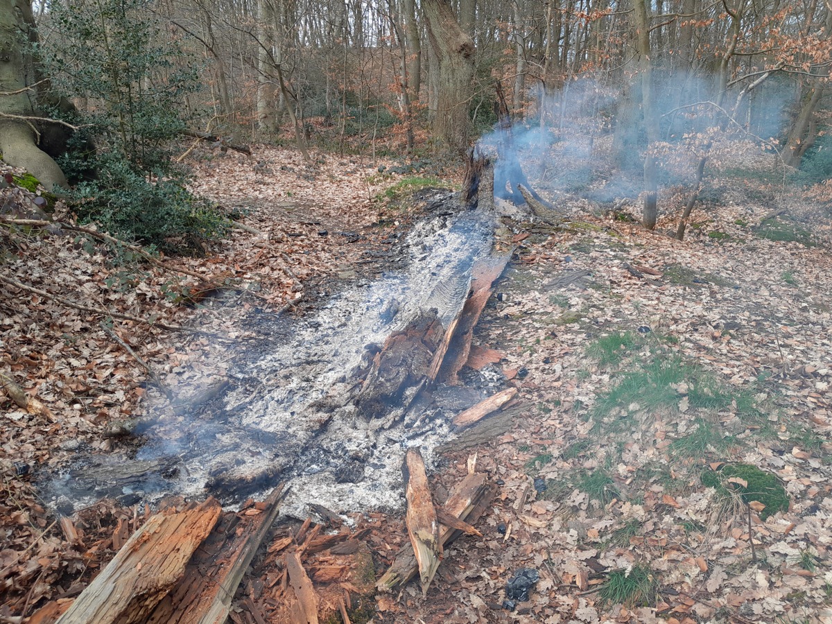 FW-EN: Zwei Bäume beschäftigen Feuerwehr Wetter (Ruhr) am Mittwochmorgen