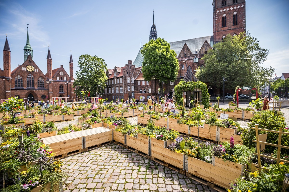 Schleswig-Holstein blüht auf!