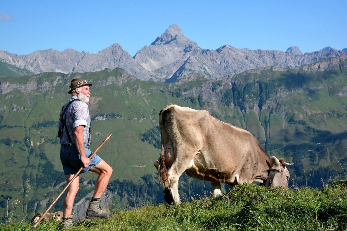 Das für Sonntag, 9. Juni, geplante Heimatfest „Hindelôngar Alpzît“ fällt aus