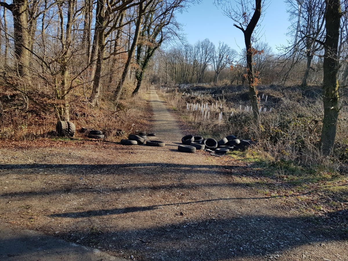 POL-LIP: Lemgo-Wahmbeck. Altreifen entsorgt.