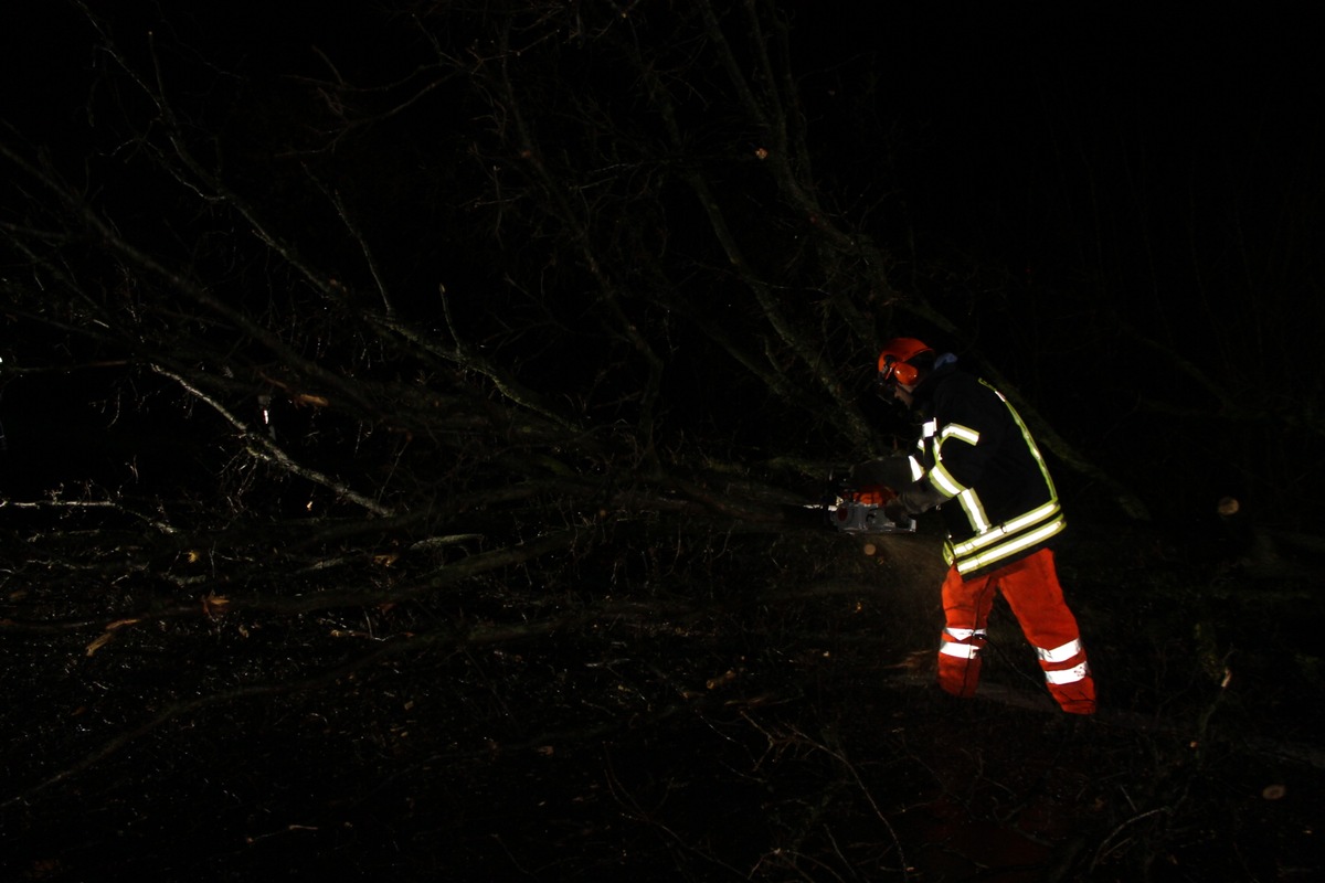 FW-WRN: TH_1 - Baum auf Fahrbahn