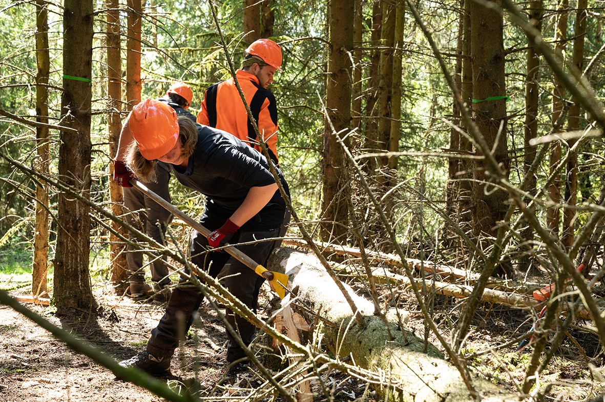 Über 40 Freiwillige mit dem Bergwaldprojekt im Einsatz für eine naturnahe Waldentwicklung im Zukunftswald Unterschönau