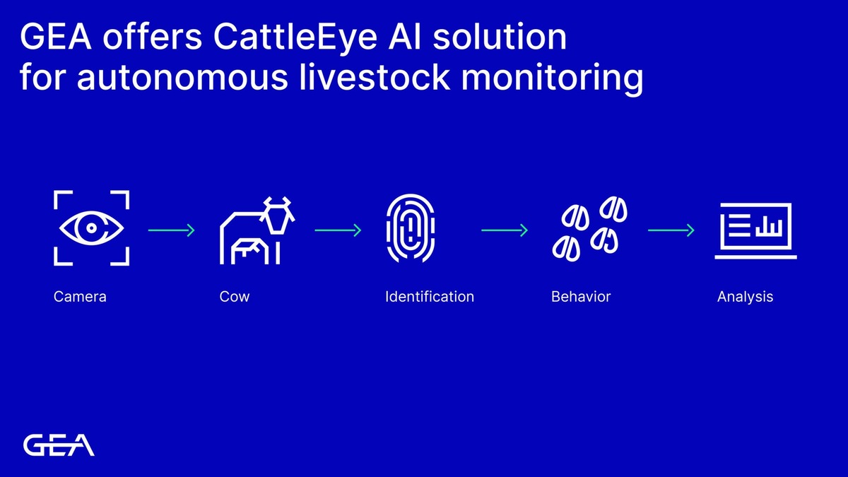 GEA launches Body Condition Scoring for cows