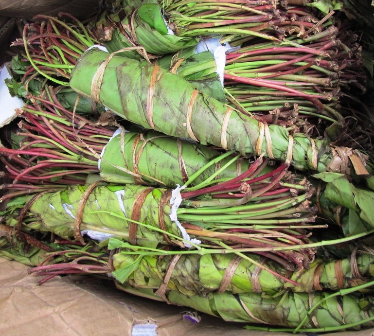 ZOLL-E: Kofferweise Khat
- 10 Reisekoffer voll mit der Kaudroge Khat am Flughafen Düsseldorf sichergestellt
- Ermittlungen durch das Zollfahndungsamt Essen