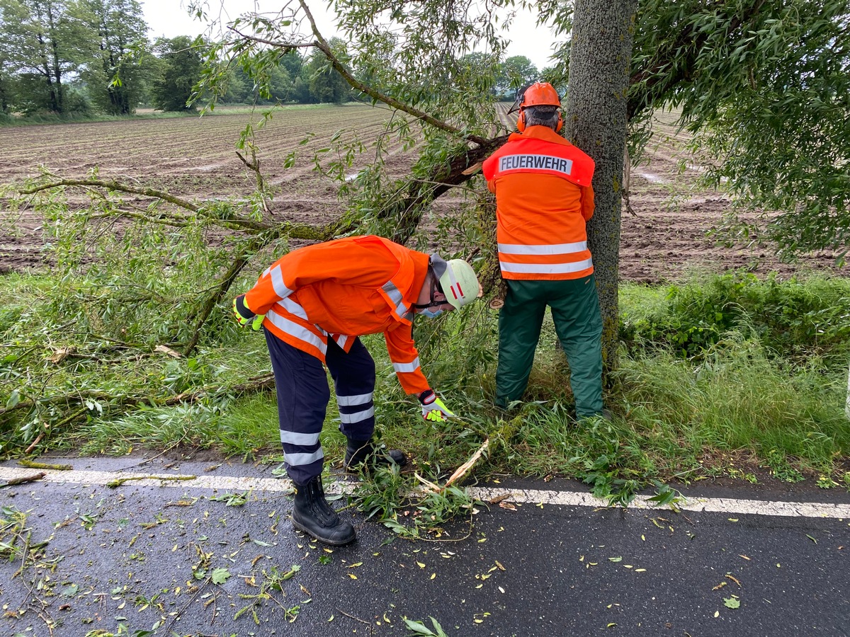 FW Flotwedel: Zwei umgestürzte Bäume behindern den Straßenverkehr bei Langlingen