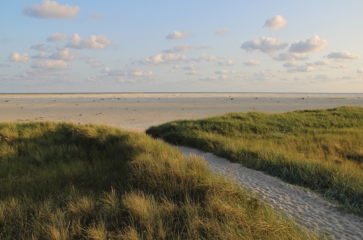 Narrenfreie Zeit in Schleswig-Holstein