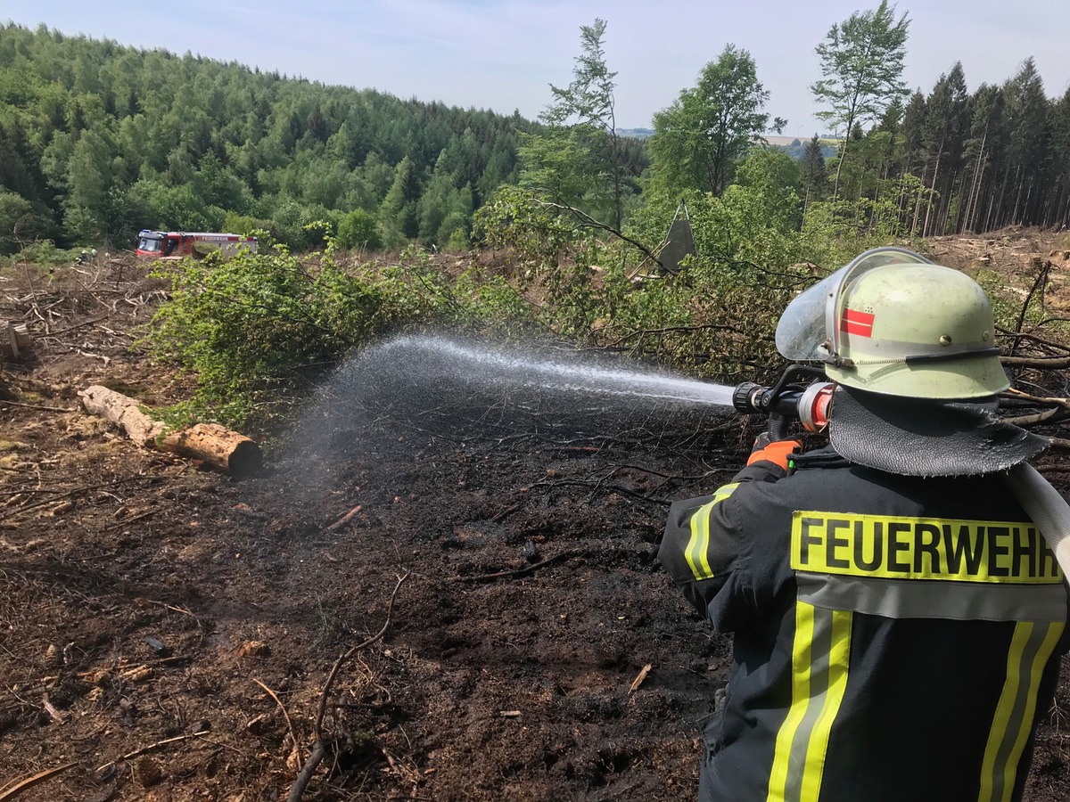 FW-PB: Waldbrand in der Egge verhindert