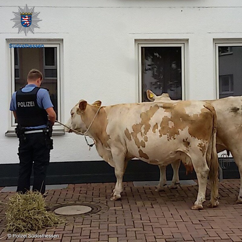 POL-OF: Pressebericht des Polizeipräsidiums Südosthessen von Montag, 29.07.2019