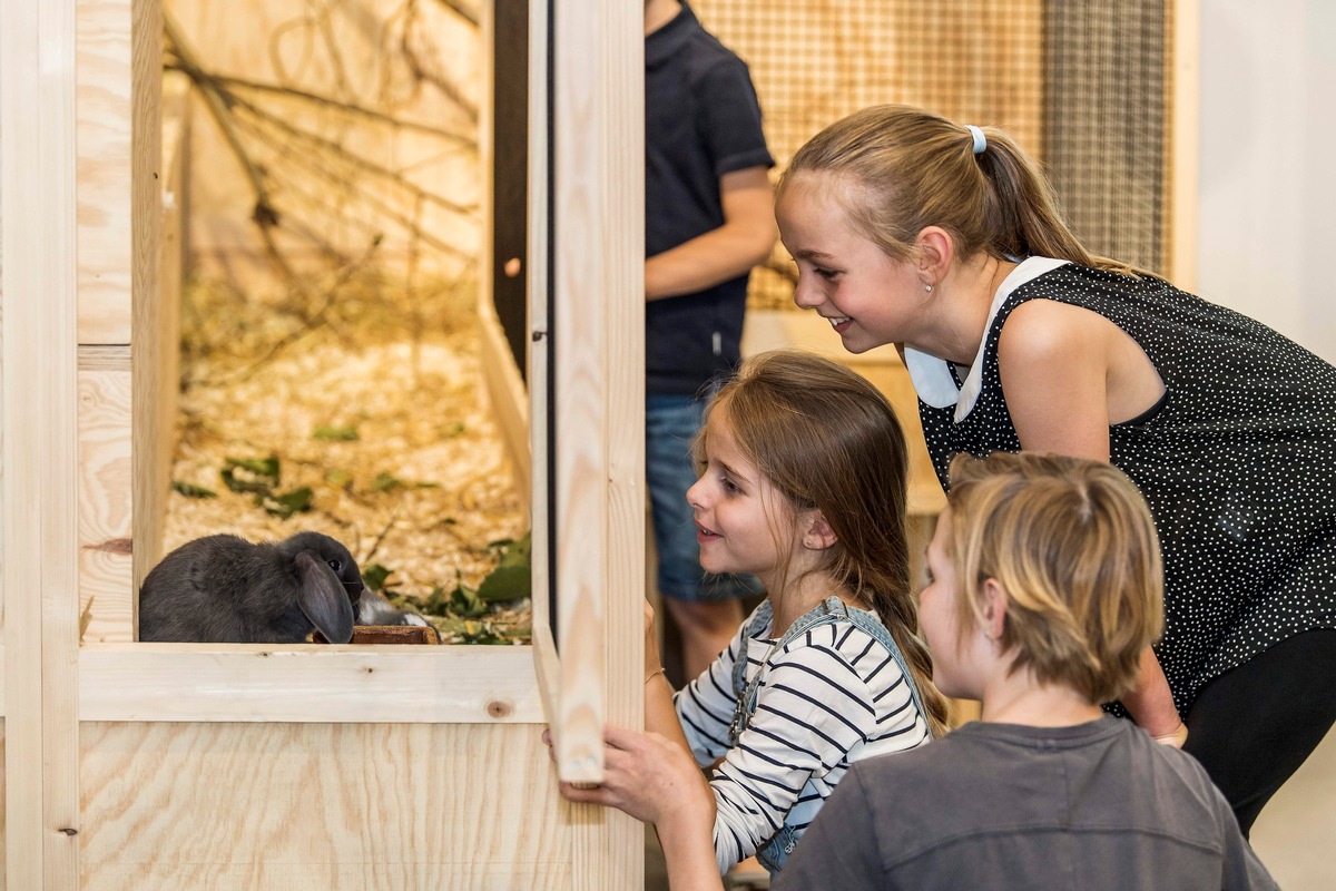 (K)ein Ei wie das andere – Sonderausstellung «Allerlei rund ums Ei» im Naturmuseum St.Gallen