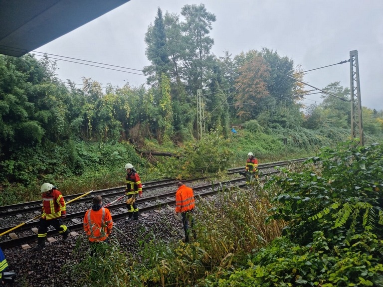 BPOL-FL: Elmshorn - Baum in Oberleitung sorgt für Bahnstreckensperrung