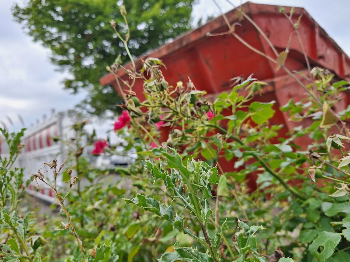 LKA-NRW: Umfangreiche Durchsuchungsmaßnahmen wegen des Verdachts der illegalen Entsorgung belasteter Böden im Tagebau Garzweiler