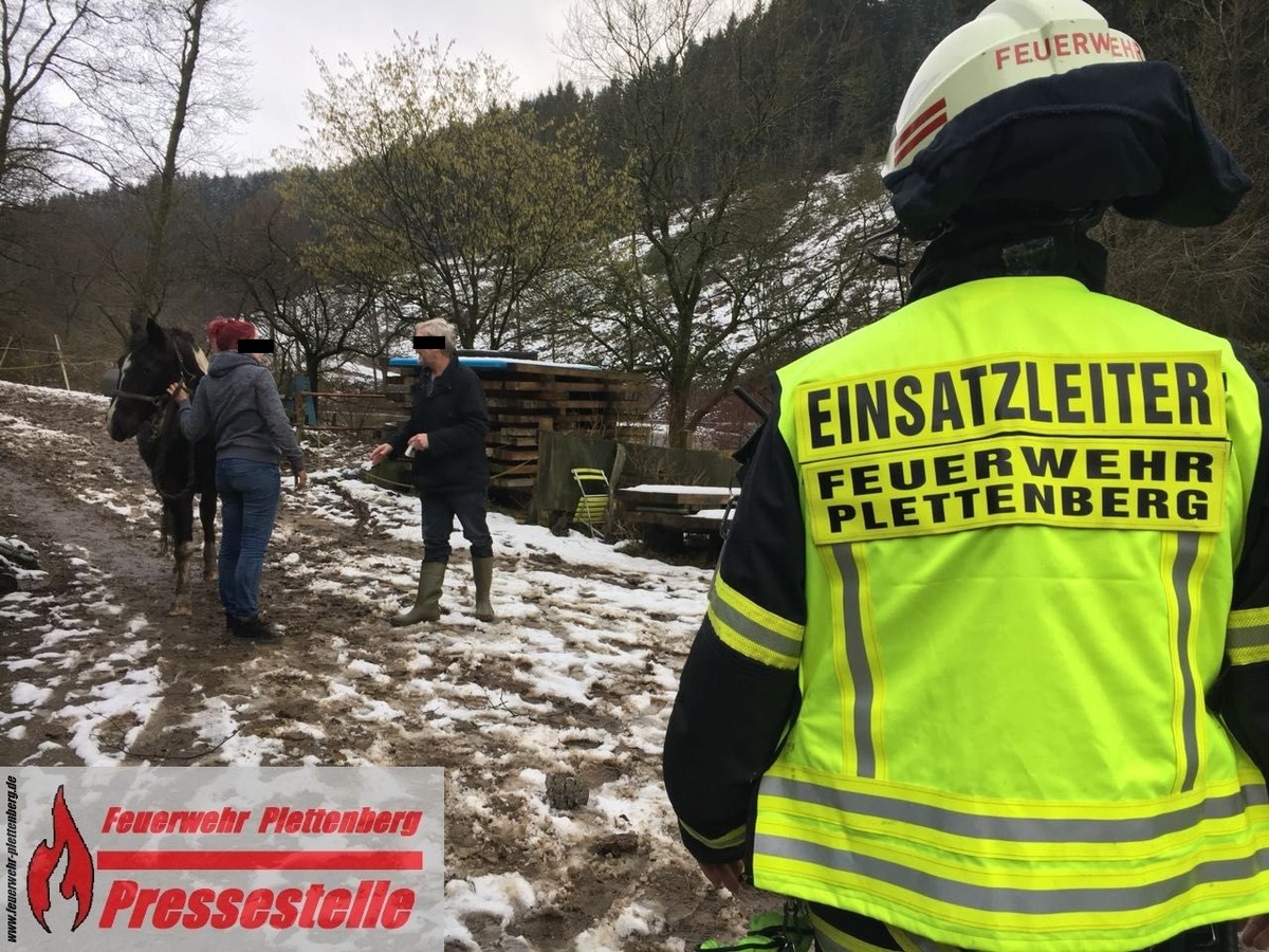 FW-PL: OT-Steinkuhle. Pferd stürzte Böschung hinab und blieb zwischen Bäumen liegen. Tier konnte erfolgreich gerettet werden.