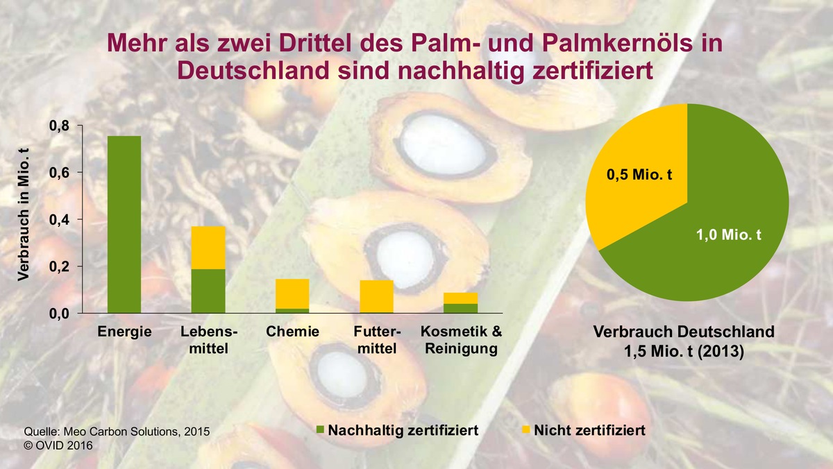 Mehr als zwei Drittel des in Deutschland verwendeten Palmöls sind nachhaltig zertifiziert