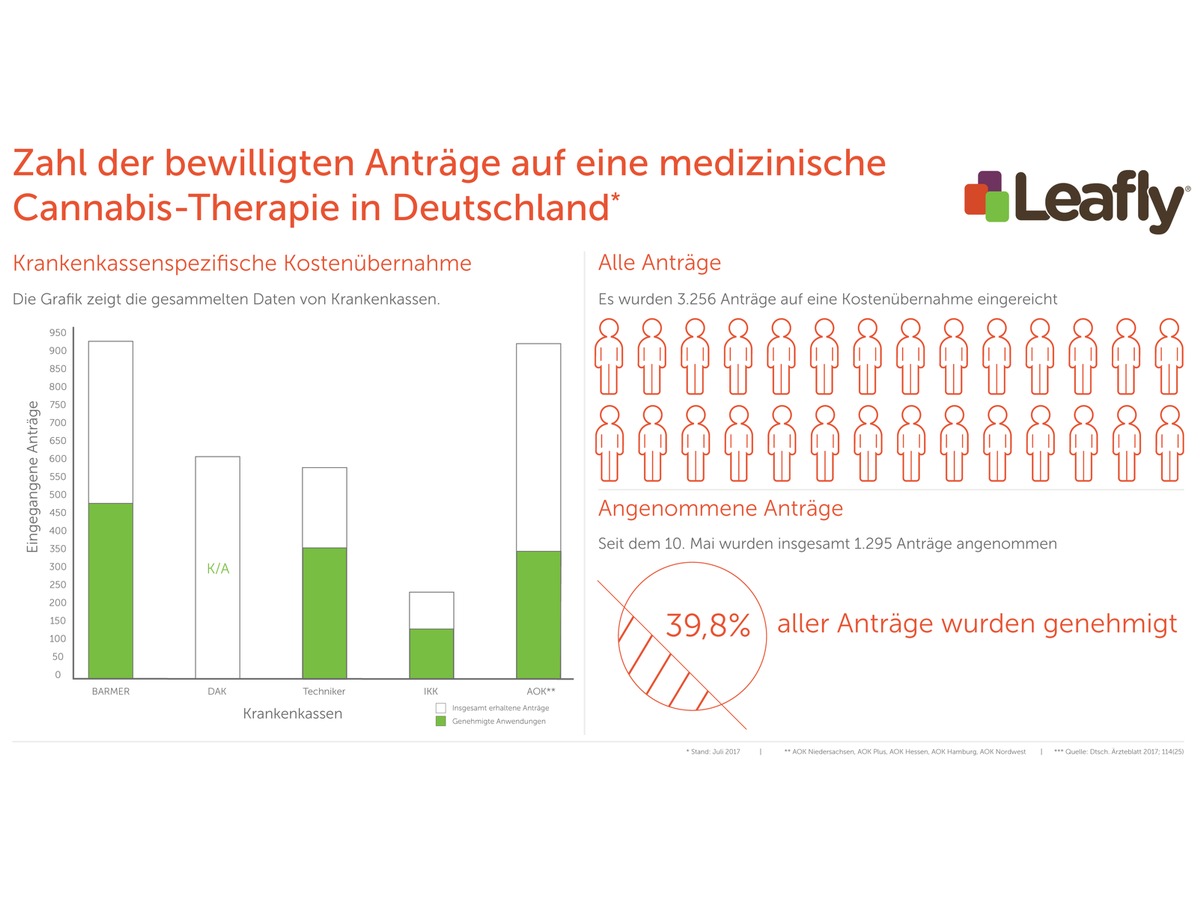 Leafly.de - 4 Monate Cannabis-Gesetz: Mehr als 60 Prozent der Anträge auf medizinische Cannabis-Therapie abgelehnt