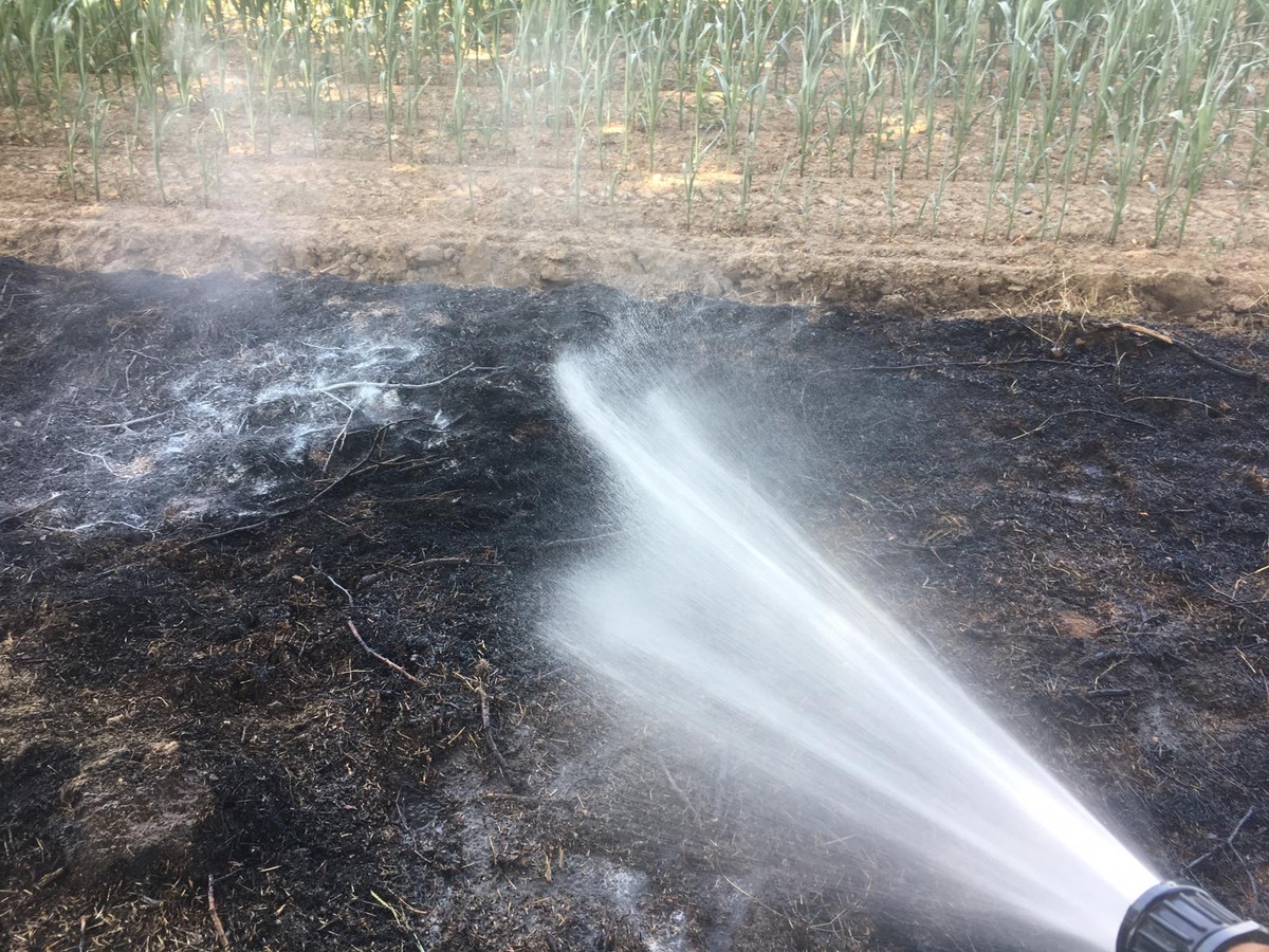 FW-KLE: Nach Flächenbrand an der Gocher Straße (B67): Feuerwehr warnt vor Bränden durch Zigarettenkippen